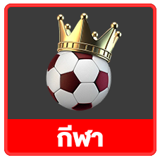 icon5